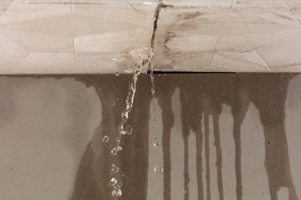 Professional Structural Drying technician working in Medina, ND
